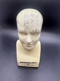 Phrenology Art