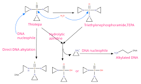Image result for Thiotepa