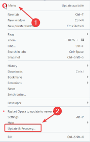 It looks very different too. Opera Browser Not Working Not Responding Full Fix