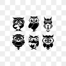 Pin On Owl