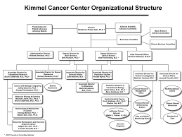Kimmel Cancer Center History