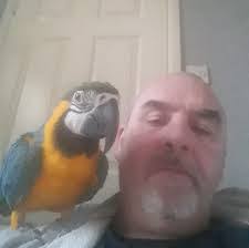 Shane Valentine's Instagram, Twitter & Facebook