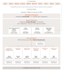 Organisation Structure Migros Annual Report 2017