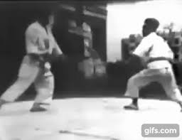 Tsubame Gaeshi Swallow Flight Reversal Shotokan Karate Karate Martial Arts Martial Arts Workout Martial Arts