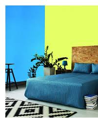 Berger paints india | lewis berger is a name synonymous with colour. Adding Yellow To Home Decor Bindu Gopal Rao Freelance Writer Photographer