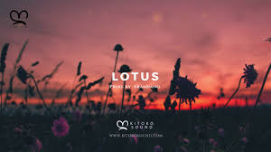 Instrumental zouk download 2020/2021 é um livro que pode ser considerado uma demanda no momento. Lotus Kitoko Sound Shazam
