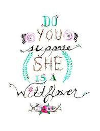 Popular Quotes From Alice In Wonderland Wild Flower Quotes Alice And Wonderland Quotes Wonderland Quotes