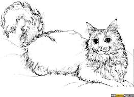 There are simple dog outlines for preschool kids to color in, adorably cute cartoon style dogs with personality, and gorgeously detailed designs for big kids and adults. Realistic Kitten Coloring Pages Novocom Top