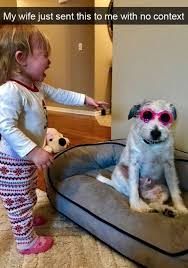 Wholesome Animal Memes To Start The Week Off Right Funny Animal Memes Cute Funny Animals Animal Memes