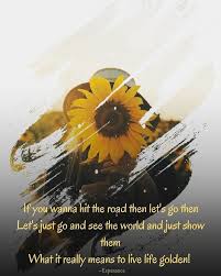 Golden Lifestyle Life Lifequotes In 2020 Live Life Life Just Go