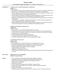 Consultant resume sample inspires you with ideas and examples of what do you put in the objective, skills, responsibilities and duties. Payments Consultant Resume Samples Velvet Jobs