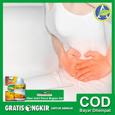 Ini menjadi keprihatinan tambahan bila apa hubungan sakit perut sebelah kiri dengan bagian aneurisma aorta perut? Obat Sakit Perut Sebelah Kiri Ibu Hamil Aman Untuk Dewasa Dan Anak Qnc Jelly Gamat Shopee Indonesia