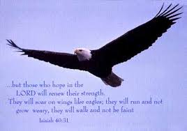 Eagles soar, that is they don't flap their wings much in flight, but instead ride on updrafts to lift them up as they glide through the air without flapping. Eagles Soar Quotes Quotesgram
