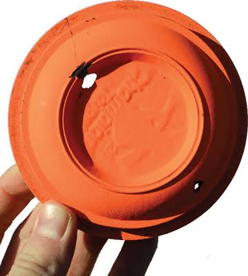 World's first clay pigeon bred in captivity - Mustard comedy magazine