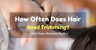 As mentioned above i've seen it happen, hair get progressively. How Often Does Hair Need Trimming Myths About Haircuts Split Ends And Speed Of Hair Growth