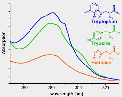 Lab 8 Quantifying Protein Concentration Chemistry Libretexts