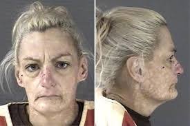 Dawn Baier's Instagram, Twitter & Facebook