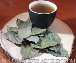 Sep 24, 2018 · another recipe says the following: Soursop Leaves Their Powerful Benefits Ty S Conscious Kitchen