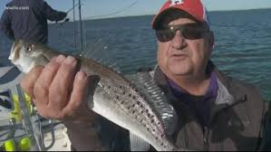 We did not find results for: Fishing Reports From Wwl In New Orleans New Orleans La Wwltv Com