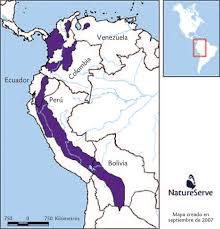 Es una república cuyo territorio se divide. Mapa De Distribucion Actual Del Oso Andino En Sudamerica Area Download Scientific Diagram