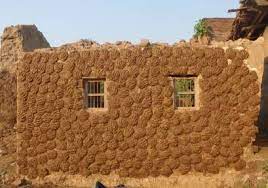 Why Gobar Cow Dung Is Applied On Walls And Floors Of Indian Villages Food Animals Home Remedies Simplicity Is Beauty