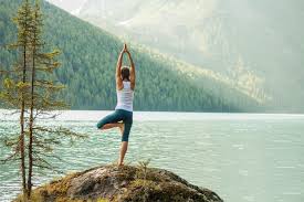 Alive & shine yoga center, bellevue, wa. The 10 Best Yoga Studios In Washington State