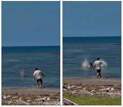 Seattle judge orders WA man back to Hawaiʻi, where prosecutors say he threw rock at monk seal
