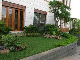 Kisaran harga rumput gajah hingga rumput jepang, cocok untuk taman! Jual Rumput Gajah Mini Harga Murah