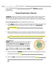 Chicken genetics gizmo answer key free : Kasandra Silva Millan Meiosis Act A Name Kasandra Silva Date Student Exploration Meiosis Vocabulary Anaphase Chromosome Crossover Cytokinesis Course Hero