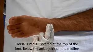 Locating Pulse Posterior Tibial Dorsalis Pedis Popliteal And Femoral Pulse Page 2 Of 3 Youtube
