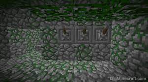 If you're playing ssp, the app is able to fetch the seed from your savegame. Jungle Temple In Minecraft
