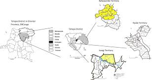 Image result for Landolphia bruneelii