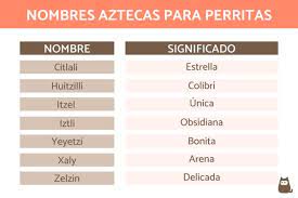 Nombres Aztecas Para Perros Mas De 50 Ideas Y Su Significado