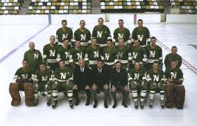 Finally, in 1989, the owners of the hockey club told the. Minnesota North Stars Team History Sports Team History