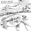 Bass fish coloring pages are a fun way for kids of all ages to develop creativity, focus select one of 1000 printable coloring pages of the category fish. 1