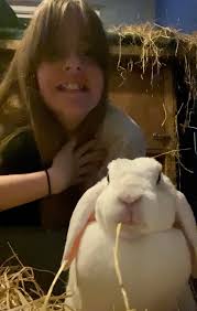 Do you know that Newfoundlands are known as the cat burglars of the dog  world ….renowned for their ability to sneak and steal ……here we see Sherman  sneaking to steal the sachets