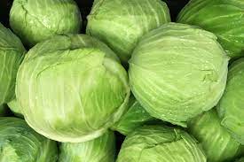 We did not find results for: How Long Does Cabbage Last And How Do You Store It Allrecipes