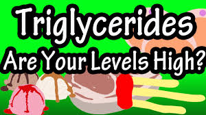 triglycerides what are triglycerides triglyceride levels high triglycerides