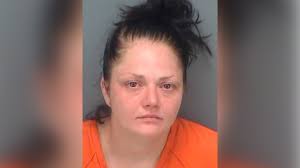 Police: Woman resisted arrest after not paying for fish tacos at Clearwater  restaurant