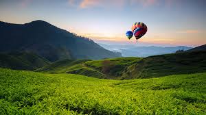 Tanah rata can be considered as the second hot spot tourist town area in cameron highlands. Balloons And Tea Valley View On Sunrise At Cameron Highlands Tanah Rata Pahang Malaysia Windows 10 Spotlight Images