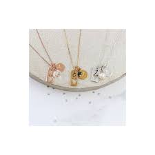 Emotional, caring and family person. Zodiac Disc Necklace Personalised With Tag Initial Charm And Birthstone
