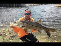 In the spiderweb of rivers and canals running through fort lauderdale and miami, mullet are the most common forage fish for predators like snook. Big Snook In Freshwater Florida Canals Youtube
