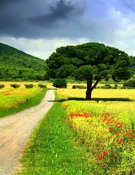 Twitter Beautiful Nature Pictures Beautiful Nature Beautiful Landscapes