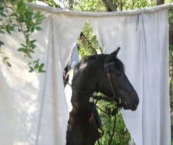 Curtain Obstacle Horses Horse Camp Horse Games