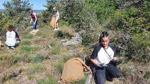 Le département des alpes de haute provence est composé de 4 arrondissements, 30 cantons et de 200 communes, d'une superficie de 6 925,2 km², c'est l'un des départements les moins densément peuplés de france, avec une densité de population. Alpes De Haute Provence A Forcalquier C Est L Heure Du Thym Le Parisien