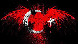kartal resimli turk bayraklari bayrak resim resimler