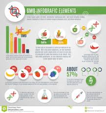 gmo infographics set stock vector illustration of