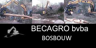 Maybe you would like to learn more about one of these? Home