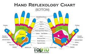 hand reflexology chart bottom in 2019 reflexology