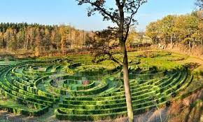 Arboretum bramy morawskiej wprowadziło ograniczenia dla zwiedzających. Arboretum Zamkniete Dla Zwiedzajacych